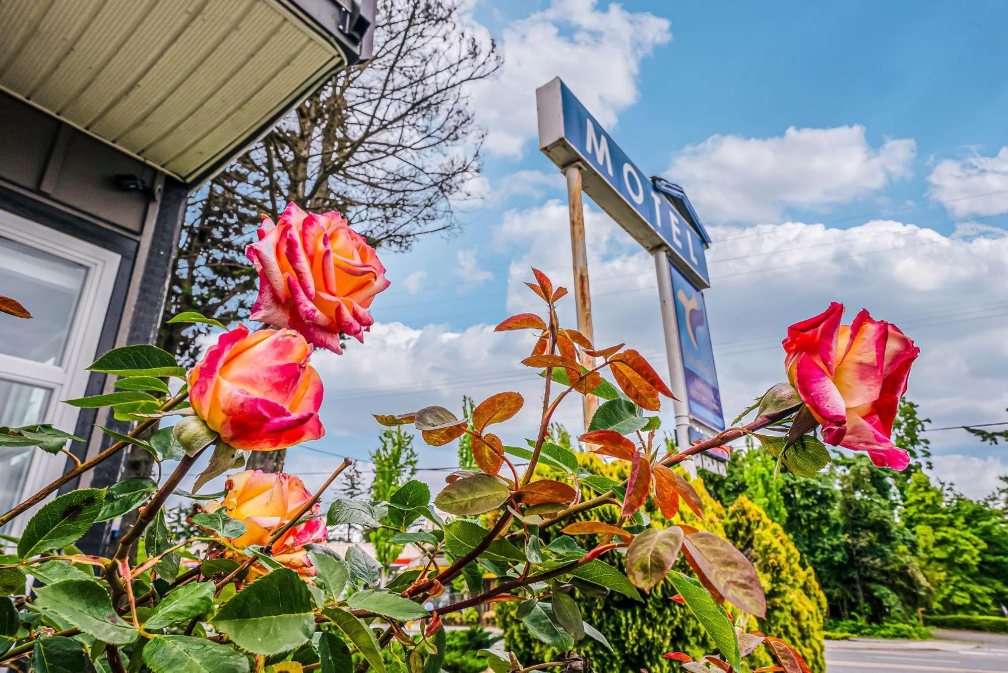 Bluebird Motel Nanaimo Exterior foto